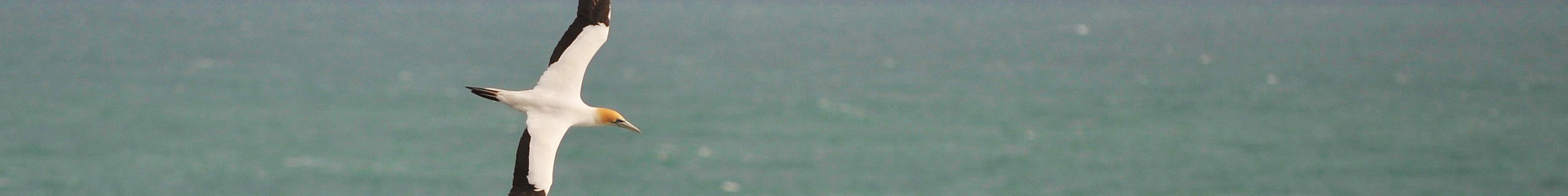 216 Muriwai Beach New Zealand accommodation reviews