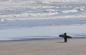 Muriwai Beach Surf School Auckland NZ
